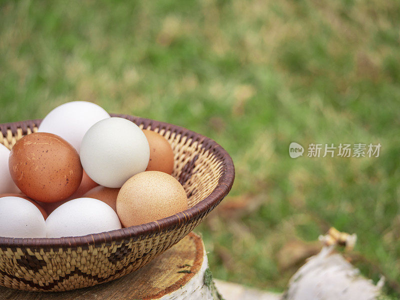 白色和棕色的鸡蛋放在编织篮子里