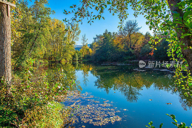 这是一幅被森林包围的河岸边的秋天风景图