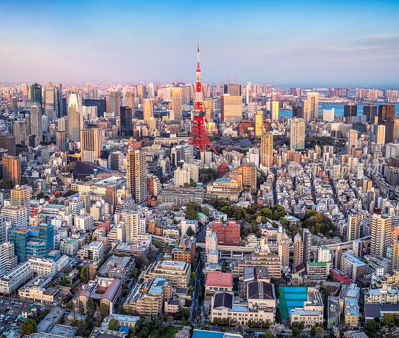 日落时分东京塔的东京天际线。日本