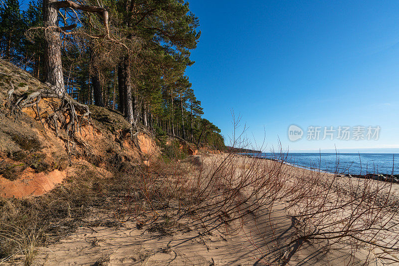 Vidzeme的海滨