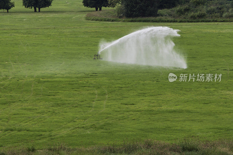 灌溉洒在绿色的干草地中心