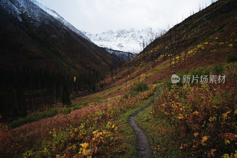 加拿大的风景