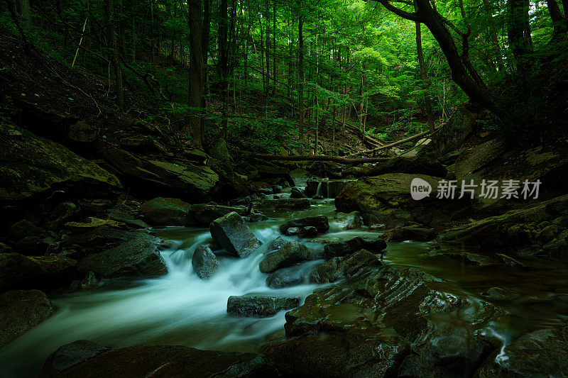 森林中的碎石坡上长满了苔藓的巨石，其间流淌着小河和小瀑布
