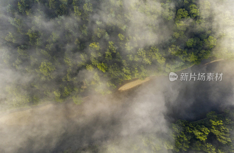 鸟瞰图:雾中的森林。雾河。