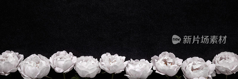 新鲜的白玫瑰在深色的桌子背景。花宽横幅。慰问卡片。空的地方，情绪化的文字，引用或语录。特写镜头。自顶向下的观点。