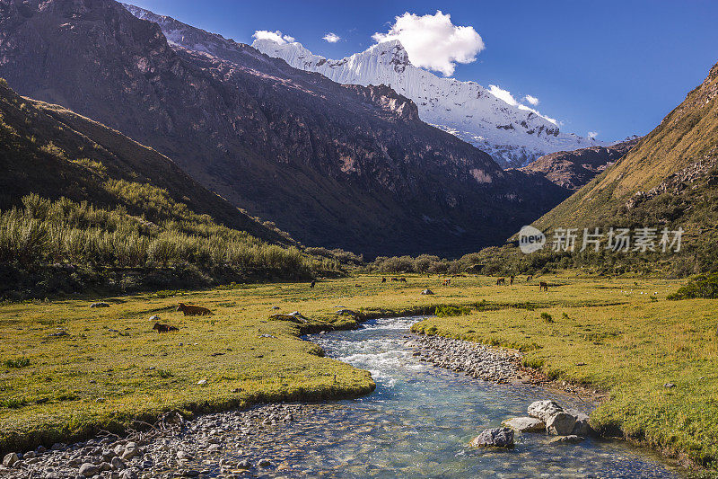 秘鲁安第斯山脉，卡卡什山脉，靠近69湖的山谷和查克拉拉贾下的河流