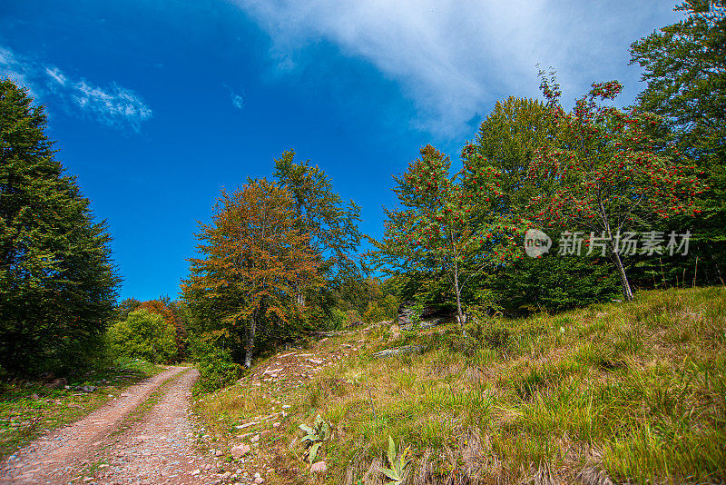 老山或斯塔拉平原，白天的路