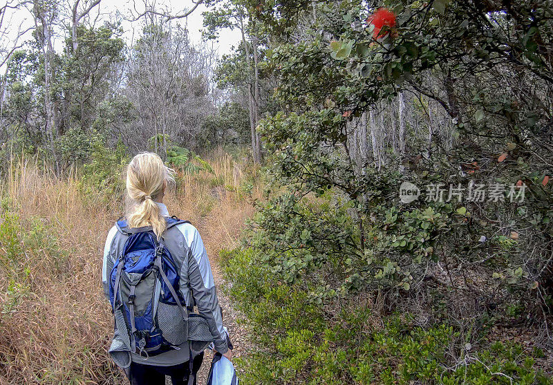 妇女徒步沿着森林小径，热带雨林