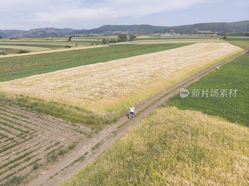 一个成年的农民在他黄色的农场里耕种春天的土地。鸟瞰图。