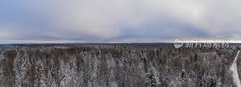 白雪覆盖的田野和森林，冬季景观的全景。