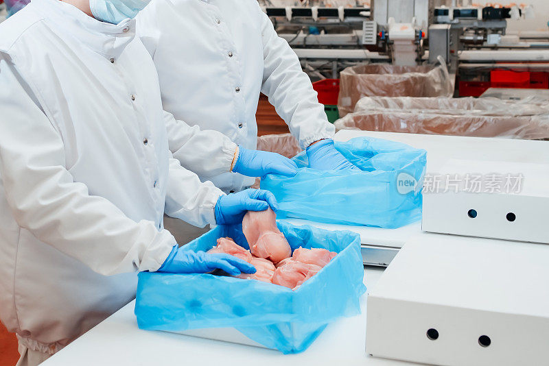 生产线用于肉类的包装和切割。肉类加工厂。食品、肉类、鸡肉用塑料包装在传送带上。鸡柳生产线。