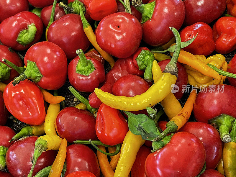 纽约长岛农贸市场出售的辣椒