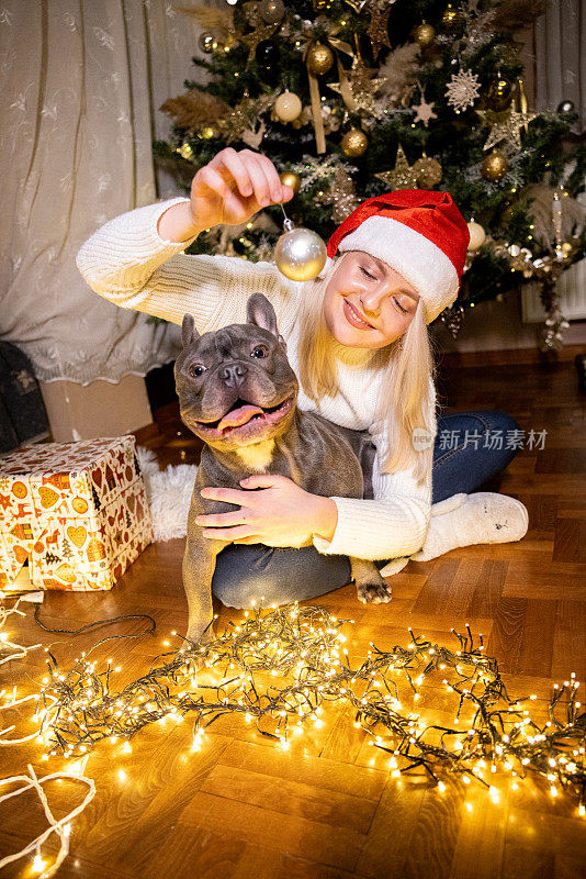 顽皮的法国斗牛犬和他的女主人一起庆祝圣诞节