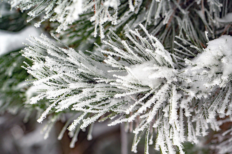 寒冷的季节——美丽的冬季风景