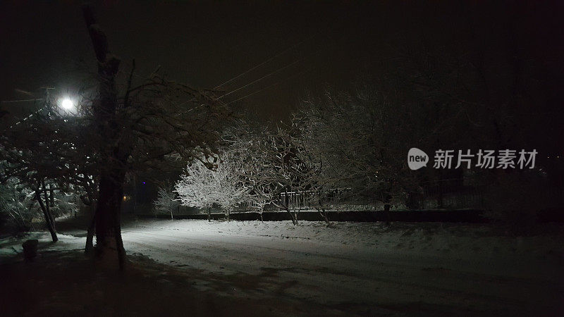 城市林荫大道上白雪覆盖的树木和冬日里行走的人们。