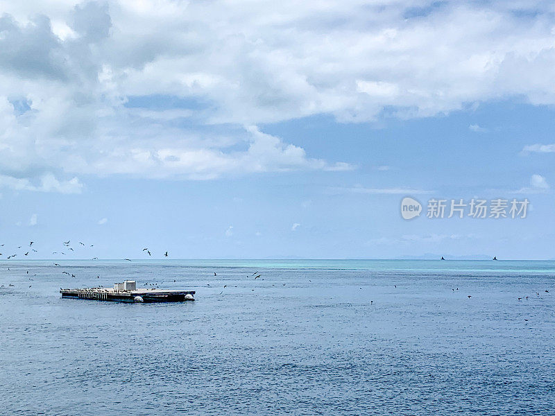 在大堡礁，Airlie海滩，澳大利亚的海洋潜水平台