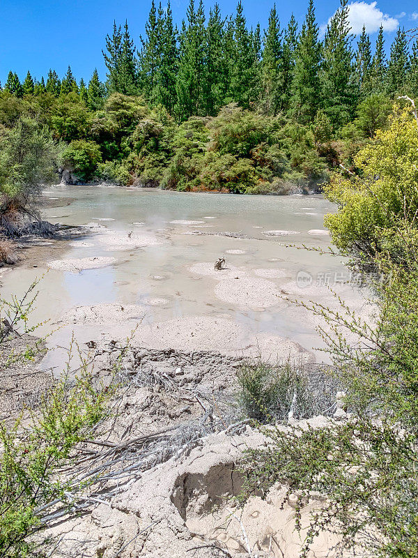 新西兰罗托鲁瓦怀奥塔普泥浆池的热泥浆飞溅