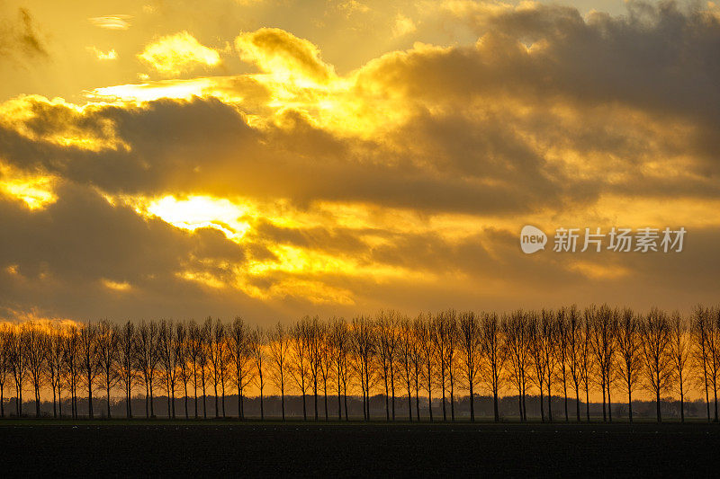 色彩斑斓的秋天日落，阳光在云后