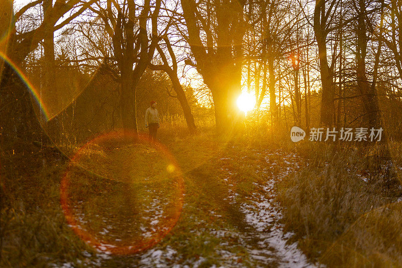 深秋日落时分在森林里徒步旅行。一个走在乡间小路上的成熟女人。艺术拍摄对太阳背光和极端镜头耀斑。