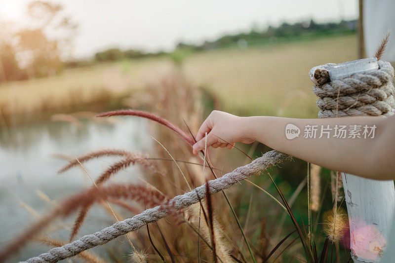 感受冬日里紫色的花朵。