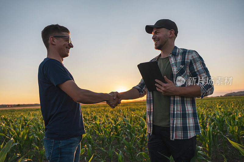 男农民和农学家在玉米地握手