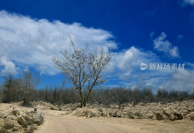 瑙鲁Ijuw区的土路