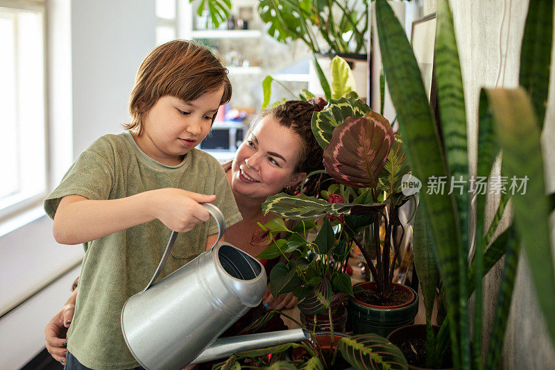 母亲和儿子在家里给植物浇水