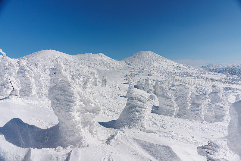 日本青森县冬季的客田山