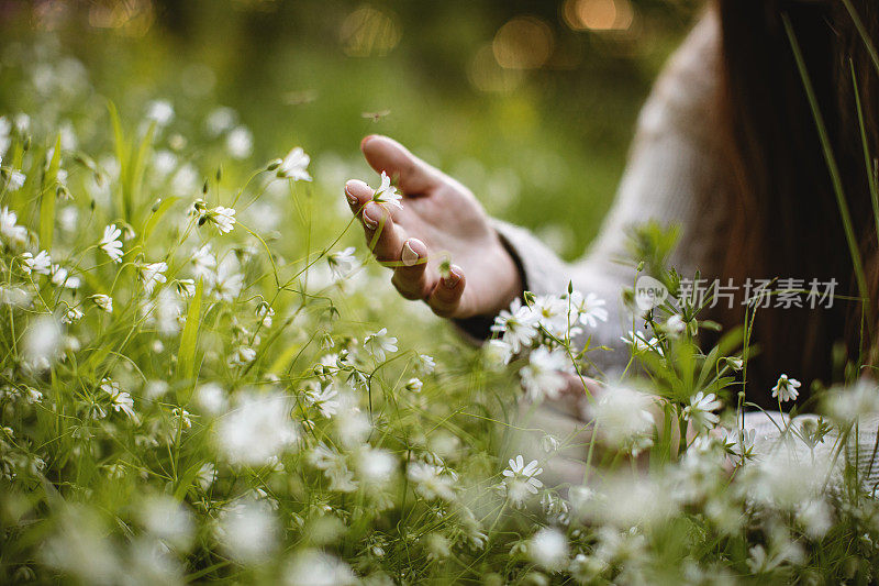 女人的手触摸春天的花朵
