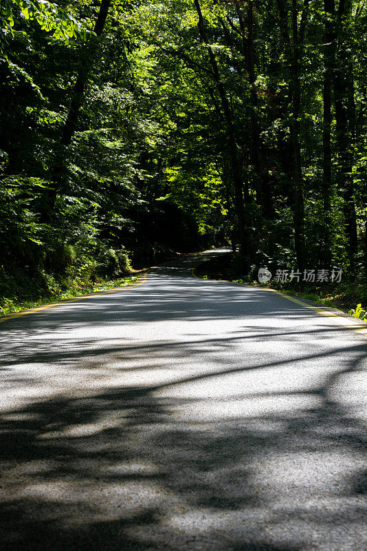 穿过森林的漫长道路。