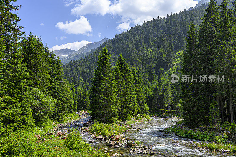 山水在山间，有森林和溪流