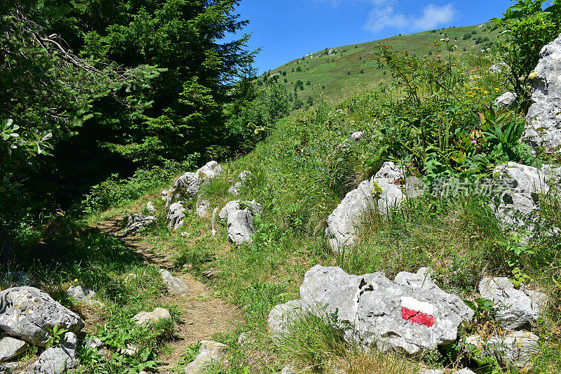 奥地利朱利安阿尔卑斯山的旅游路线