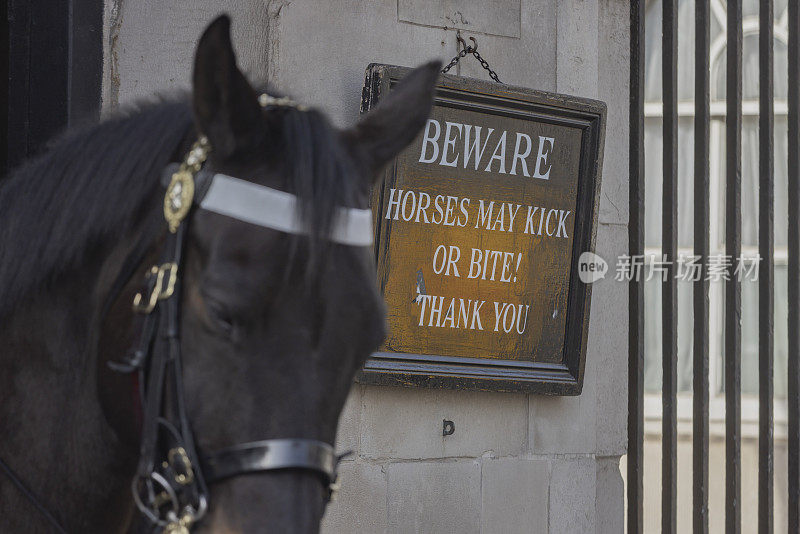 伦敦骑兵卫队的一匹马旁边的警示牌