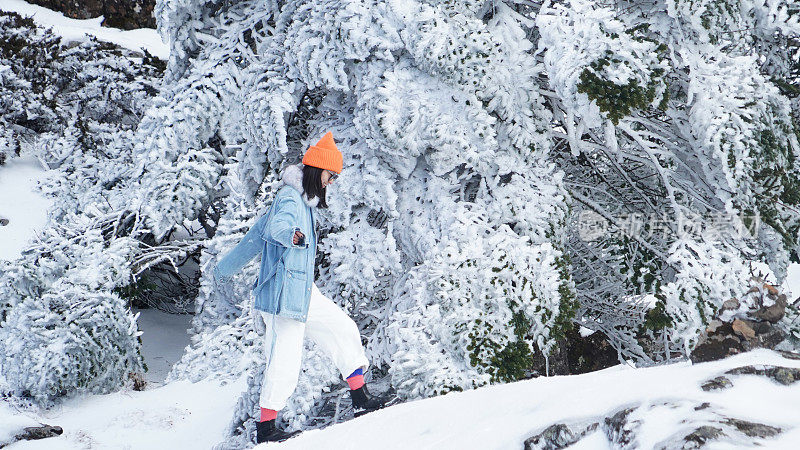 一个女人在寒冷的天气里穿行于白雪覆盖的山林之中