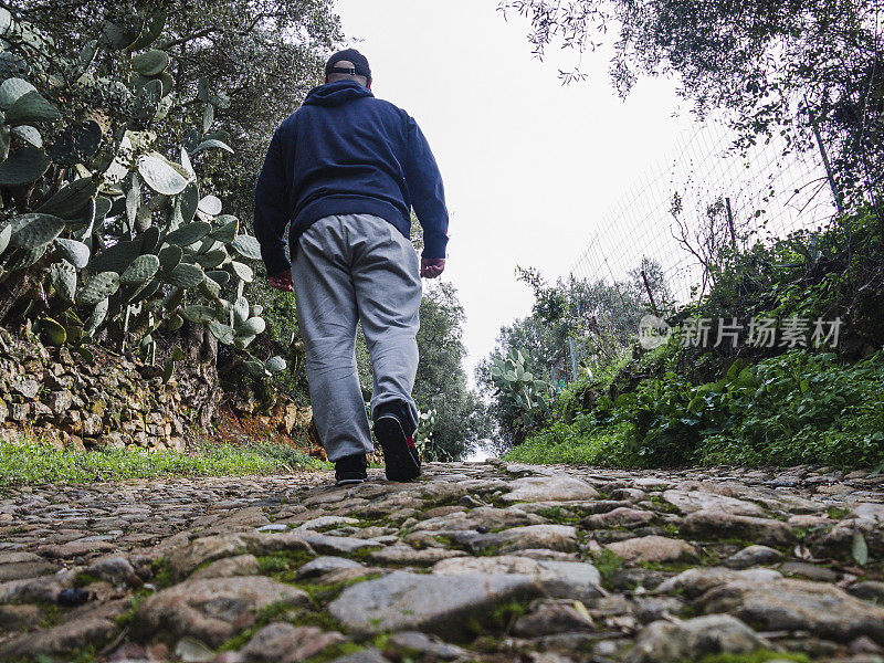 一个背对着他的人，走在山间小路上