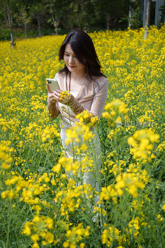 一名亚洲女子在拍摄油菜花