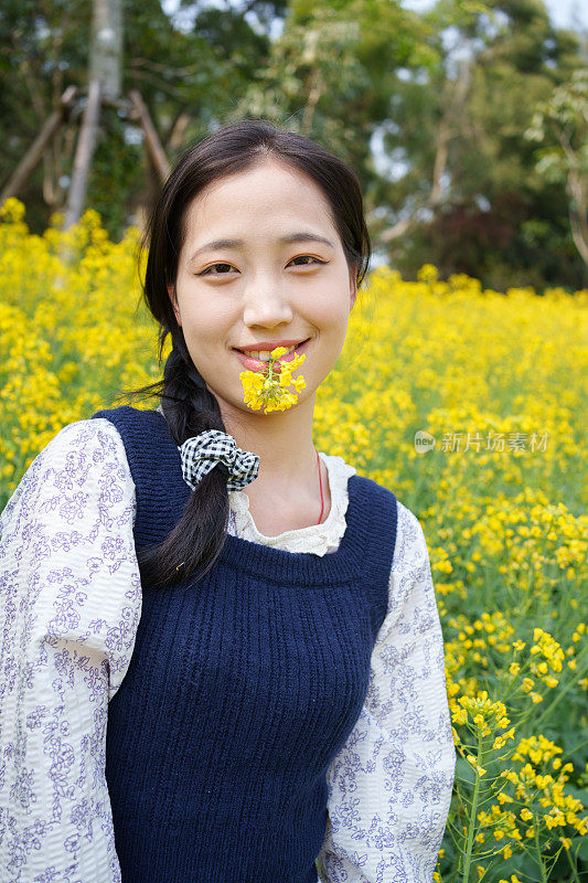 油菜花和少女