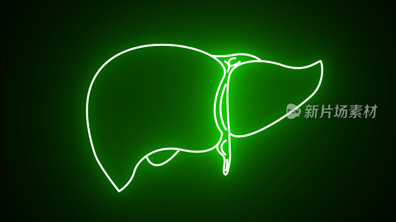 绿色霓虹灯线人体器官肝脏图标孤立在黑色背景。霓虹医疗:肝脏。运动图形