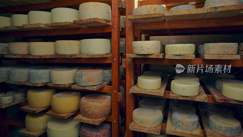 奶酪工厂里正在成熟的蓝奶酪