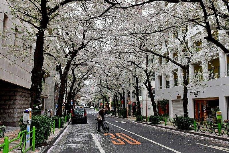 东京商业区樱花隧道:日本桥地区