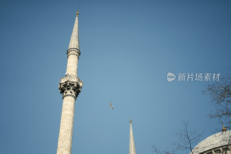 历史悠久的清真寺尖塔和天空中飞翔的鸟儿