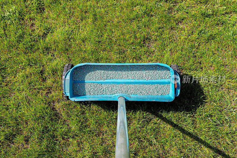 使用手动播种机用颗粒状草肥施肥幼嫩的草坪。