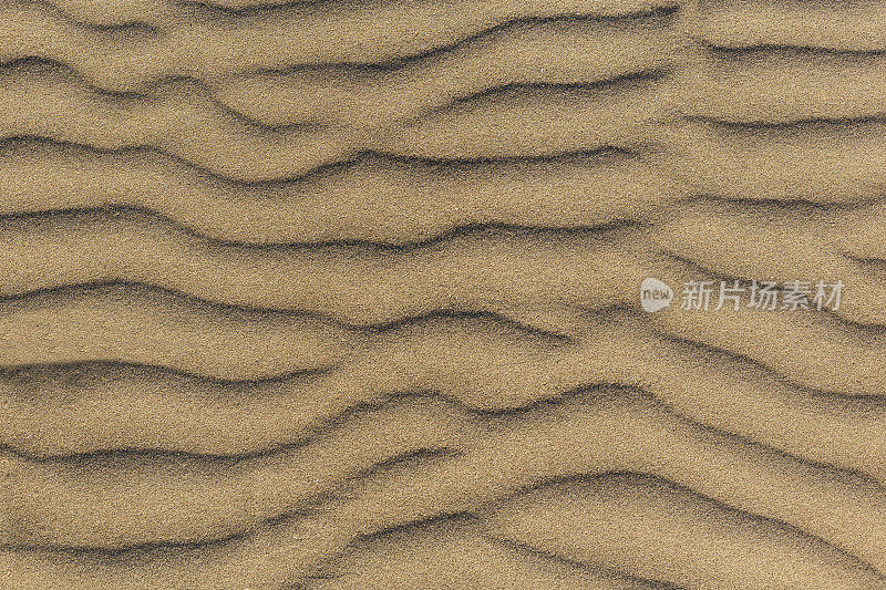 沙丘波浪和沙纹。海浪，沙丘。由于风的作用，沙子会改变形状，形成沙波纹和锯齿状的线条。有选择性的重点。副本的空间。