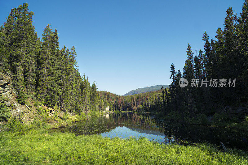 加拿大的洛基山脉，阿尔伯塔，加拿大