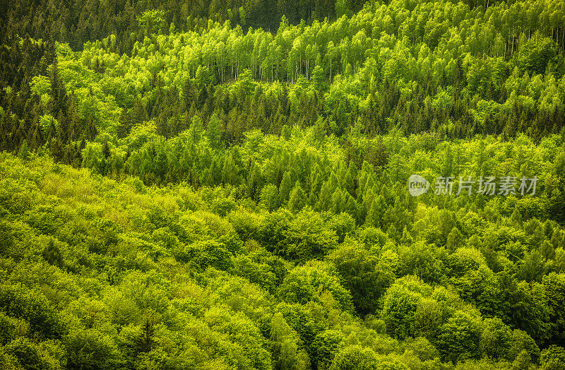 全景山景