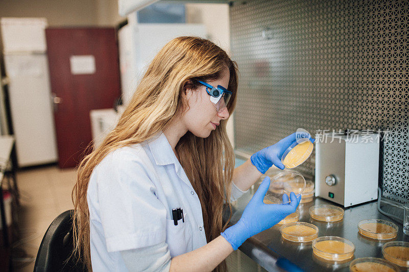 在实验室工作的生物研究科学家