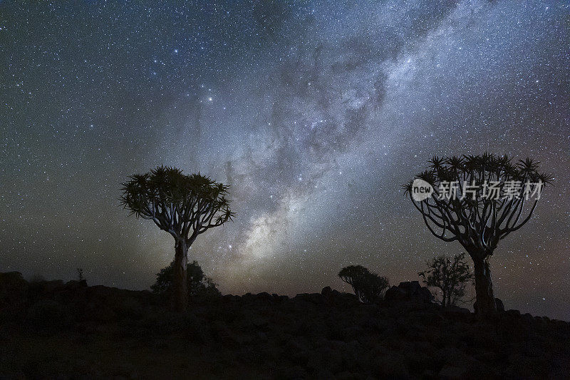 银河在夜空中升起在颤树森林，南纳米比亚