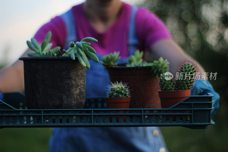 手里拿着植物的女人