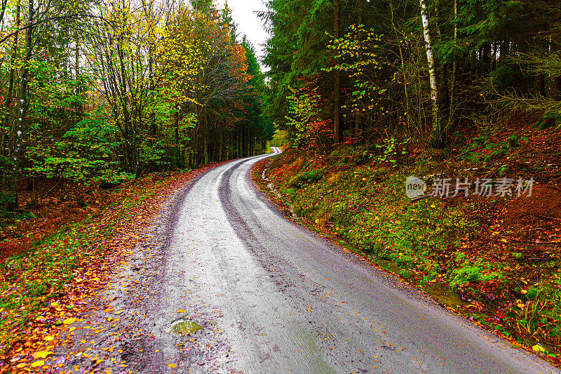 秋天的道路