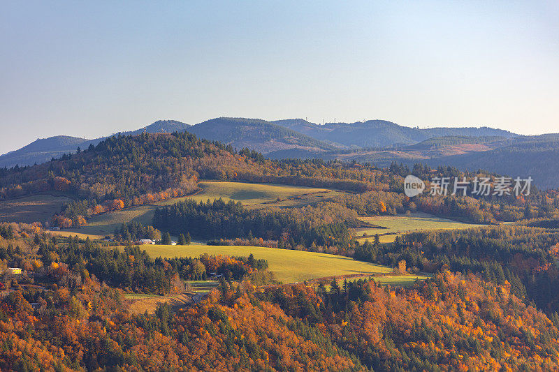 华盛顿秋季哥伦比亚河峡谷风景。